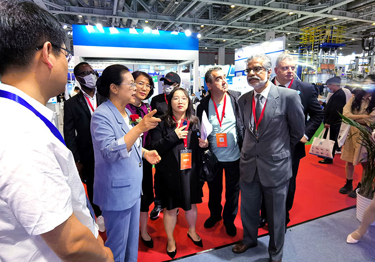 Henan Dingdian Machinery Co., Ltd.